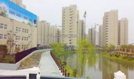 桃园新城最新爆料新闻,揭秘神秘项目背后的惊人真相